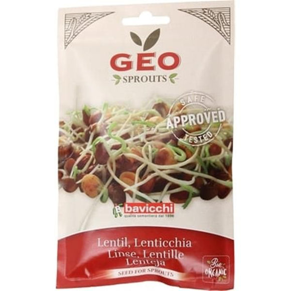 Sementes para Germinar Lentilhas Bio 90g - Bavicchi - Crisdietética