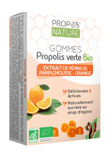Gomas S/ Açúcar Laranja 45g- Propos Nature - Crisdietética