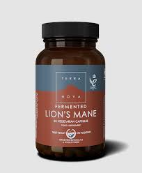 Fermented Lion's Mane 50 cápsulas - Terra Nova