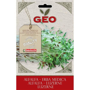 Semente para Germinar Alfafa 30g - Bavicchi - Crisdietética