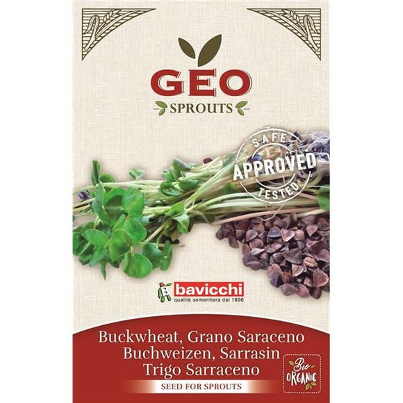 Semente para Germinar Trigo Sarraceno 90g - Bavicchi - Crisdietética