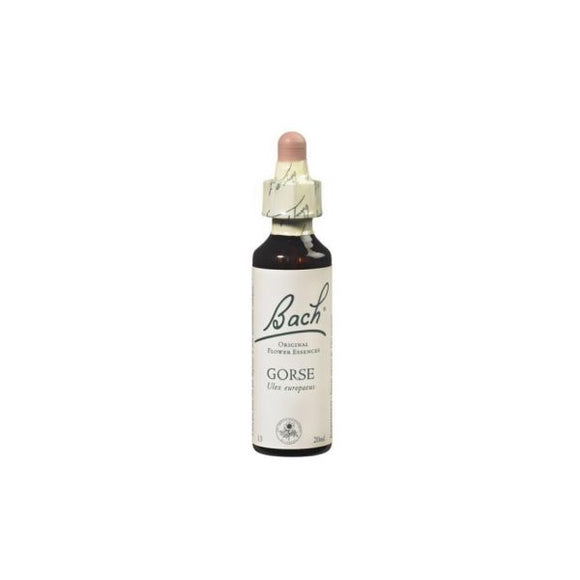 Floral de Bach Gorse 20ml - Nelsons - Crisdietética