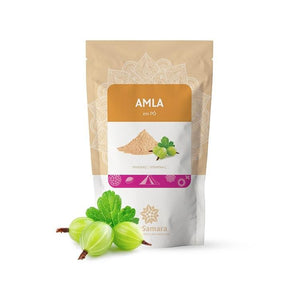 Amla em Pó 125g - Biosamara - Crisdietética