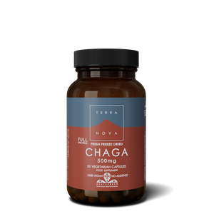 Chaga (Full-Spectrum) 500mg 50 Cápsulas - Terra Nova - Crisdietética