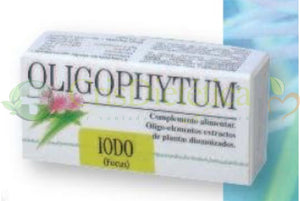 Iodo 100g - Holistica - Crisdietética