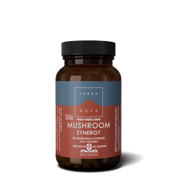 Mushroom Synergy 50 Cápsulas - Terra Nova - Crisdietética