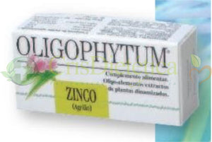 Zinco 100g - Holistica - Crisdietética